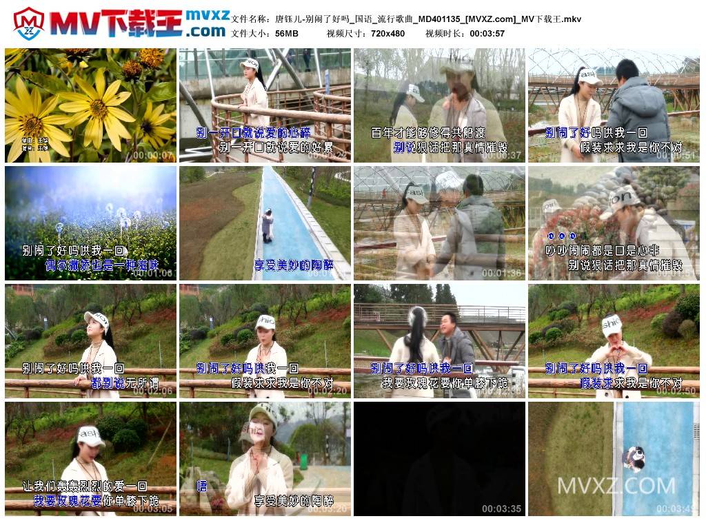 唐钰儿-别闹了好吗_国语_流行歌曲_MD401135